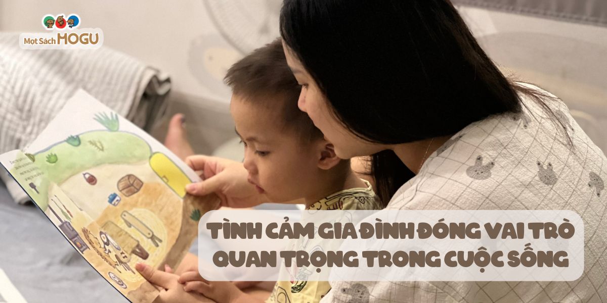 Tình Cảm Gia Đình