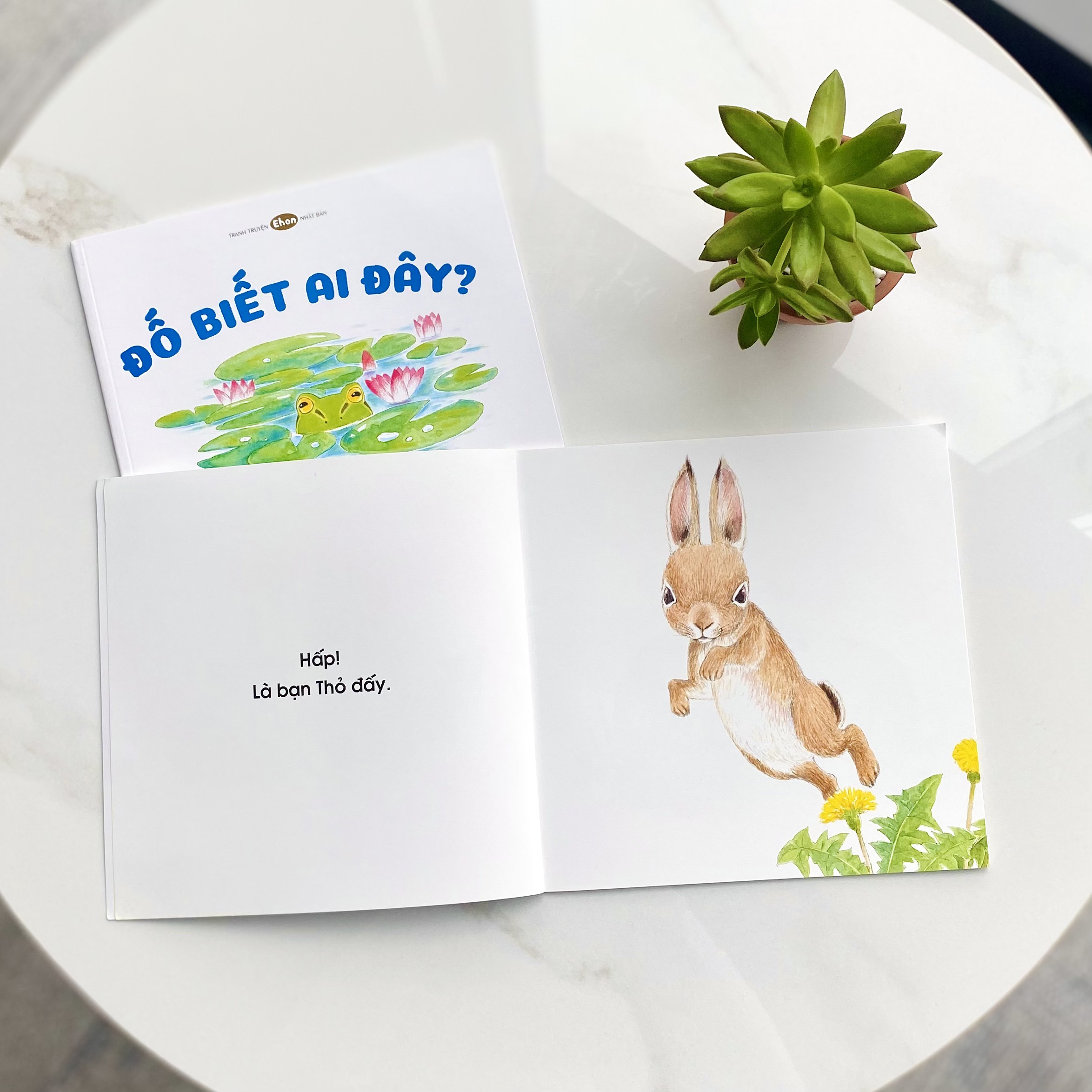 Sách Ehon Âm Thanh