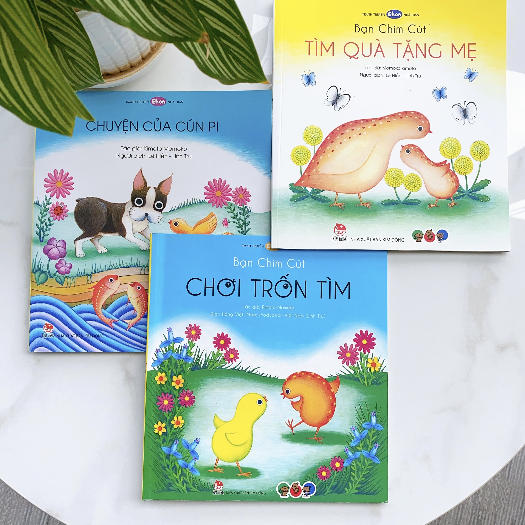 Tình Cảm Gia Đình