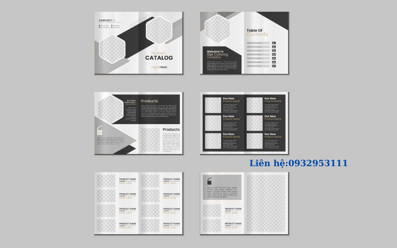 Brochure Basis Việt Nam