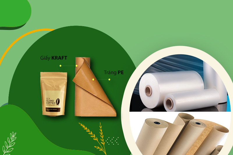 Giấy Tráng PE