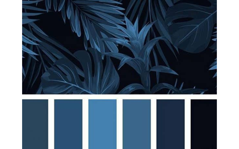 Màu xanh navy