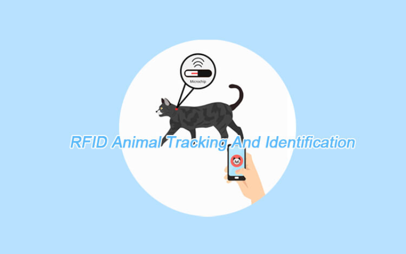 RFID trong bảo tồn động vật hoang dã