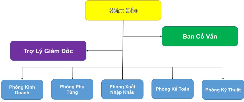 Cơ cấu nhân sự công ty TNHH xe nâng Bình Minh