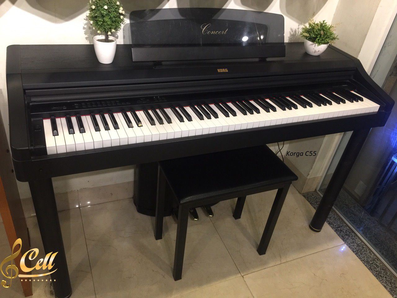 Đàn piano điện Korg C55