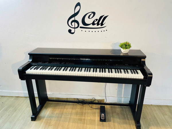 Piano điện Technics SXPX9