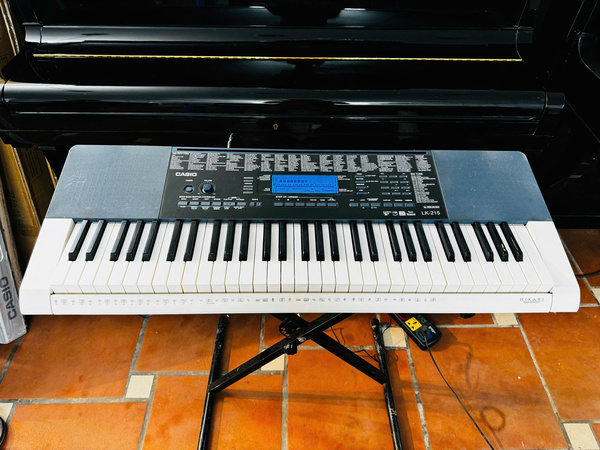 Organ Casio LK215 phím sáng