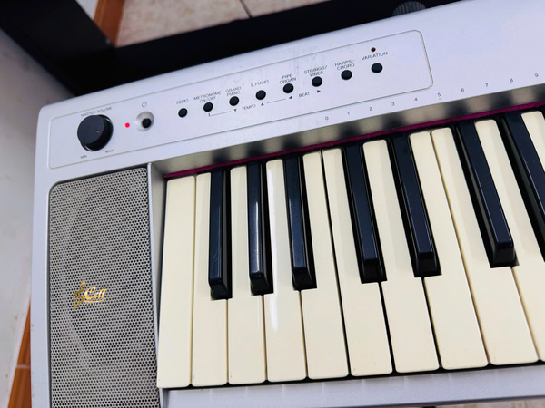 Piano điện Yamaha NP31S
