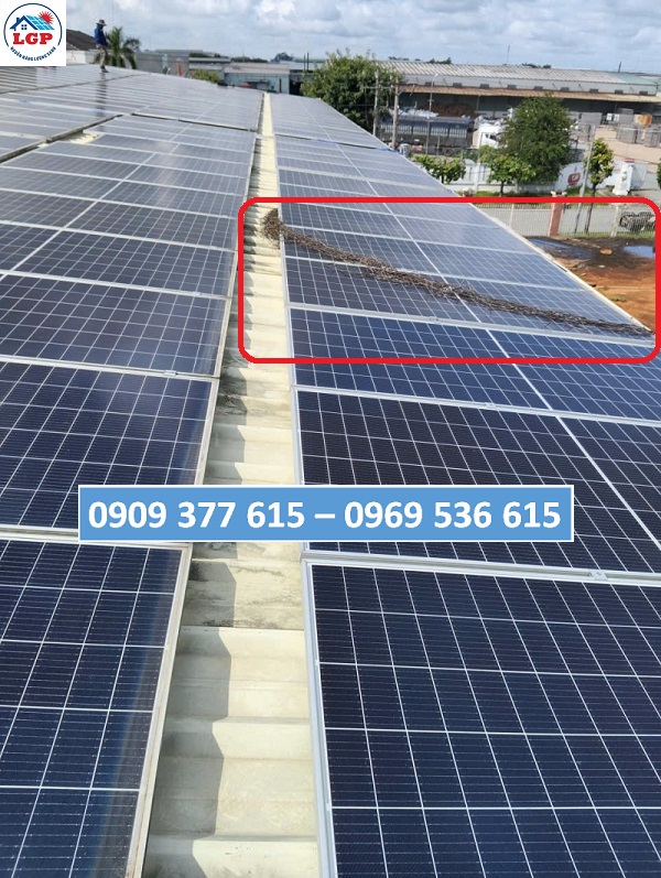 Tấm pin điện mặt trời bị rác và lá cây che lấp trên mái nhà xưởng