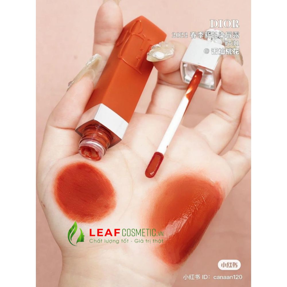 Bảng Màu Son Dior Addict Lip Tint 731 Natural Ginger Cam Gạch