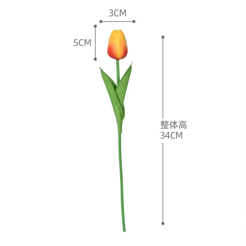 Hoa Tulip trang trí nhiều màu xinh xắn