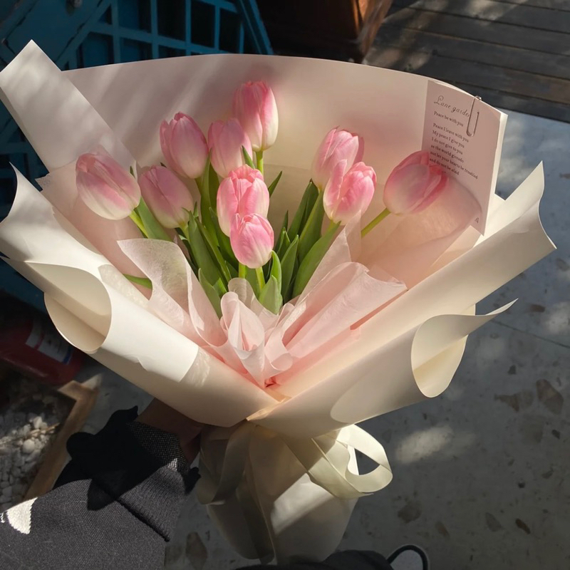 Hoa Tulip trang trí nhiều màu xinh xắn