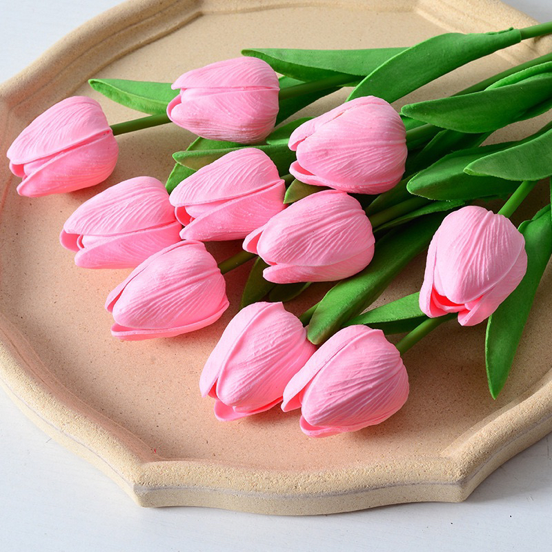 Hoa Tulip trang trí nhiều màu xinh xắn