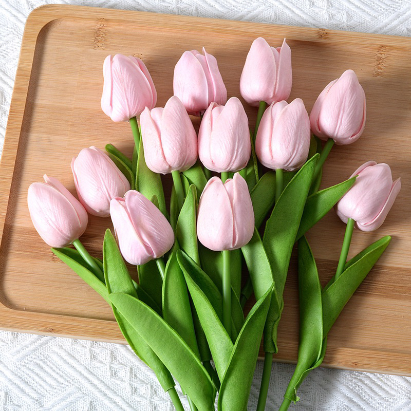 Hoa Tulip trang trí nhiều màu xinh xắn