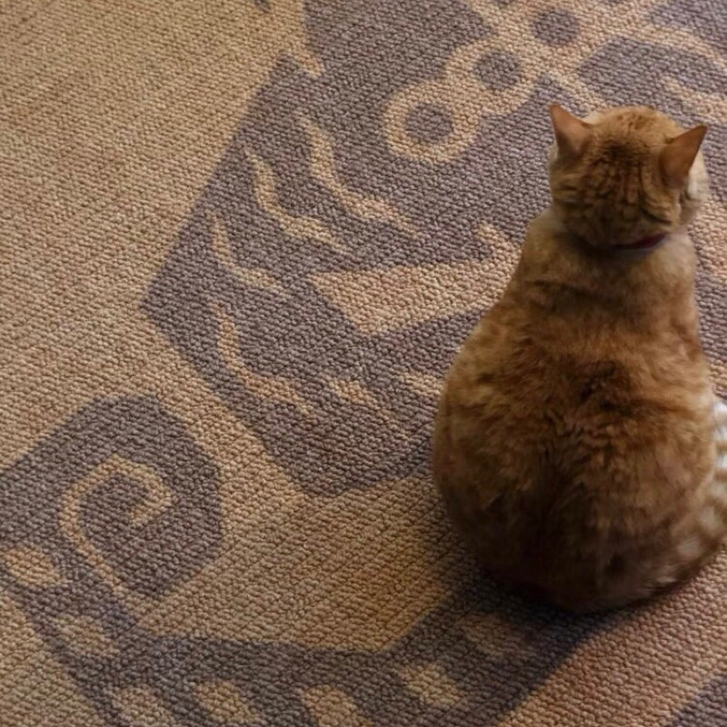 Thảm trải sàn Tiger Benz cao cấp / Tiger Benz Rug