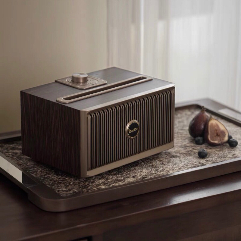 Loa decor Retro Radio cao cấp / Retro Radio