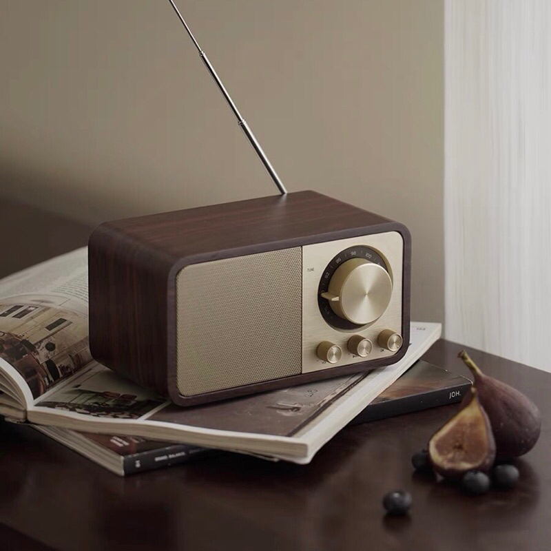 Loa decor Retro Radio cao cấp / Retro Radio
