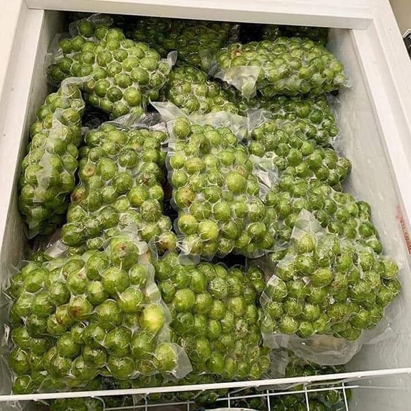 Sấu tươi hút chân không để được bao lâu