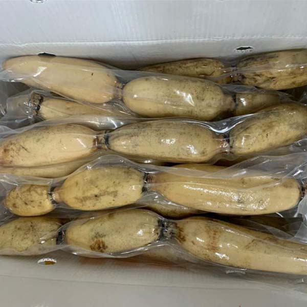 Cách Bảo Quản Củ Sen Tươi