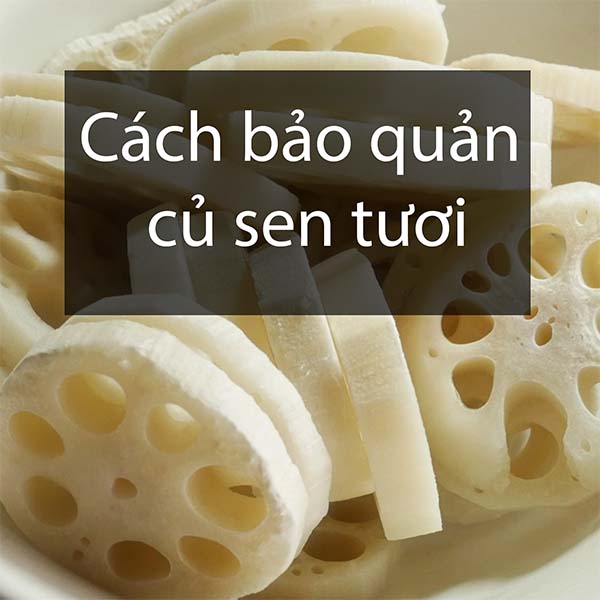Cách Bảo Quản Củ Sen Tươi