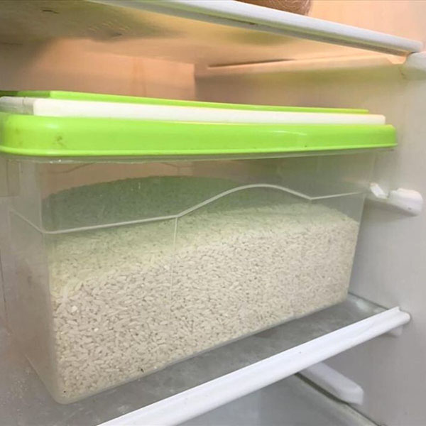 Cách bảo quản gạo không bị mốc