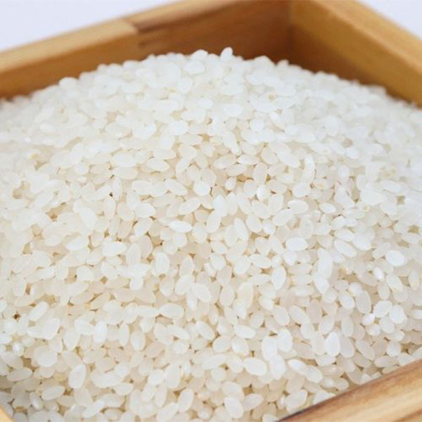 Cách Bảo Quản Gạo Không Bị Mọt