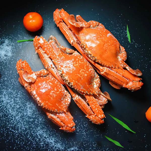 Cách bảo quản ghẹ đã luộc chín