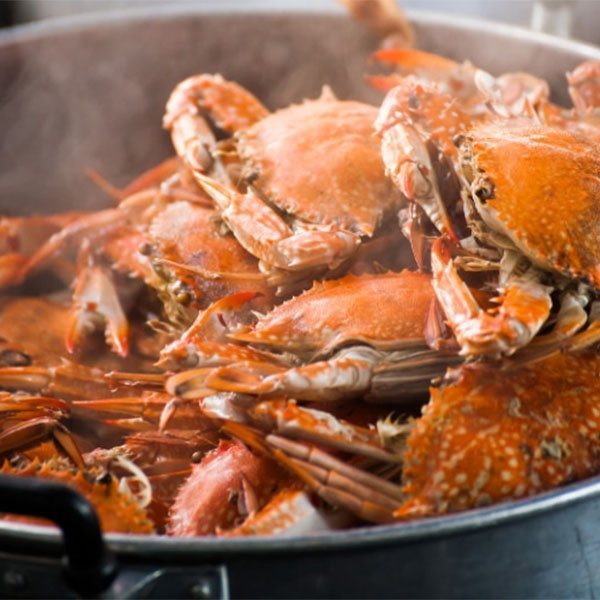 Cách bảo quản ghẹ đã luộc chín