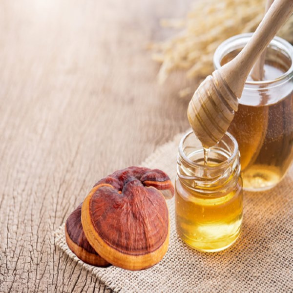 Cách bảo quản nấm linh chi đúng cách giữ nguyên dược tính