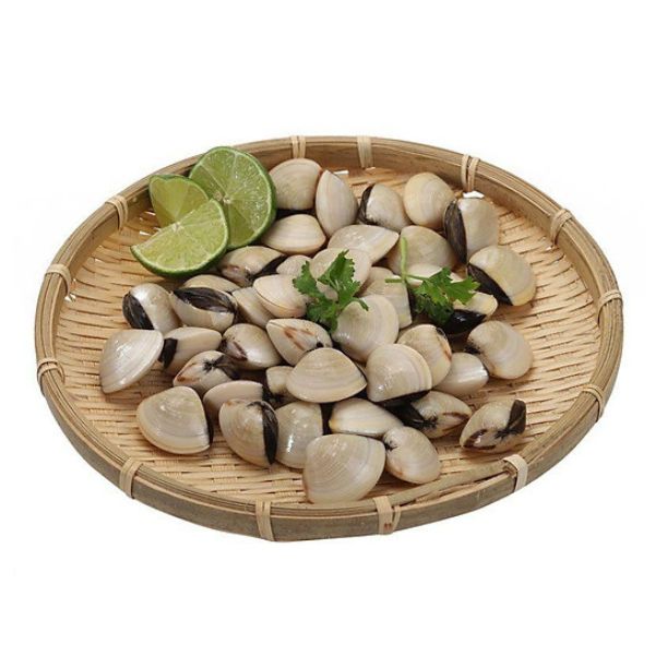 cách bảo quản ngao sống qua đêm