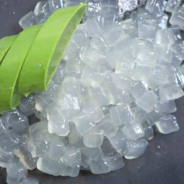 Cách bảo quản nha đam đã sơ chế