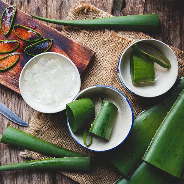 Cách bảo quản nha đam đã sơ chế