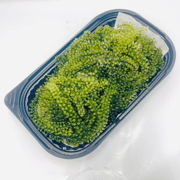 Cách Bảo Quản Rong Nho Tươi: Giữ Độ Giòn Ngon Tươi Mát