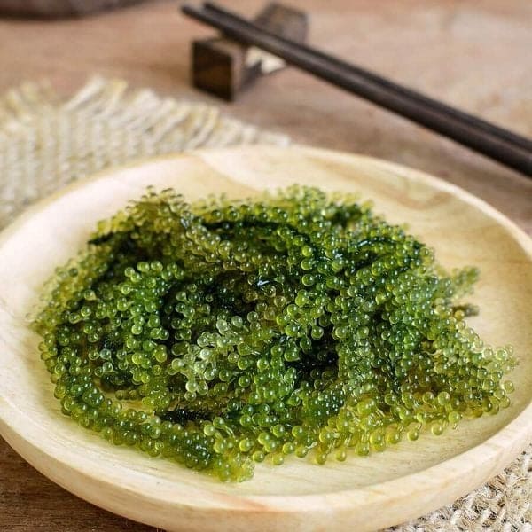 Cách Bảo Quản Rong Nho Tươi: Giữ Độ Giòn Ngon Tươi Mát