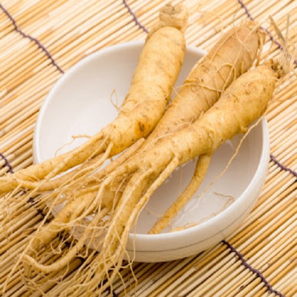 Cách bảo quản sâm tươi