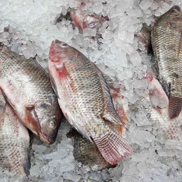 Cách bảo quản thực phẩm thịt cá