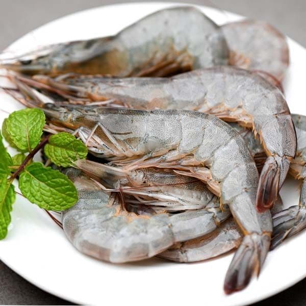 Cách Bảo Quản Tôm Tươi Để Giữ Được Độ Ngon Và Tươi Mới