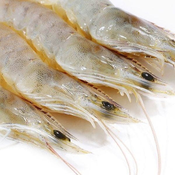 Cách Bảo Quản Tôm Tươi Để Giữ Được Độ Ngon Và Tươi Mới