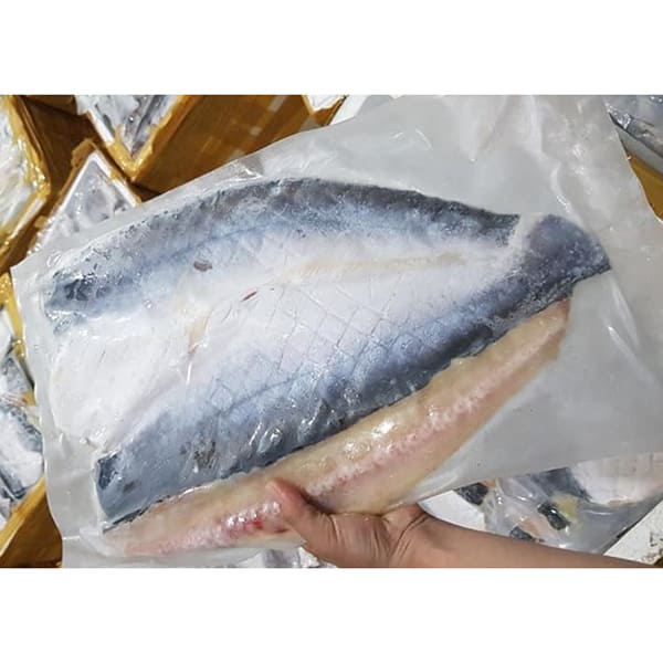 Cẩm nang bảo quản cá khô hiệu quả