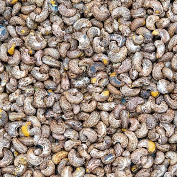 Có Nên Để Hạt Điều Trong Tủ Lạnh