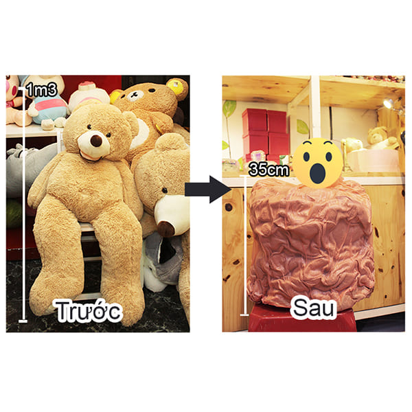 Dịch vụ hút chân không thú bông VHCK