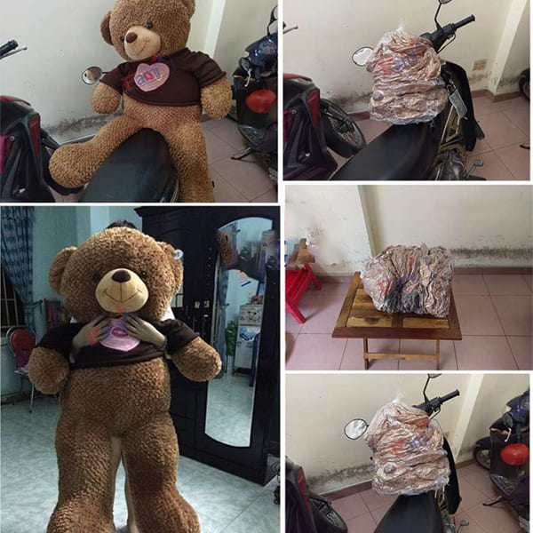 Dịch vụ hút chân không thú bông