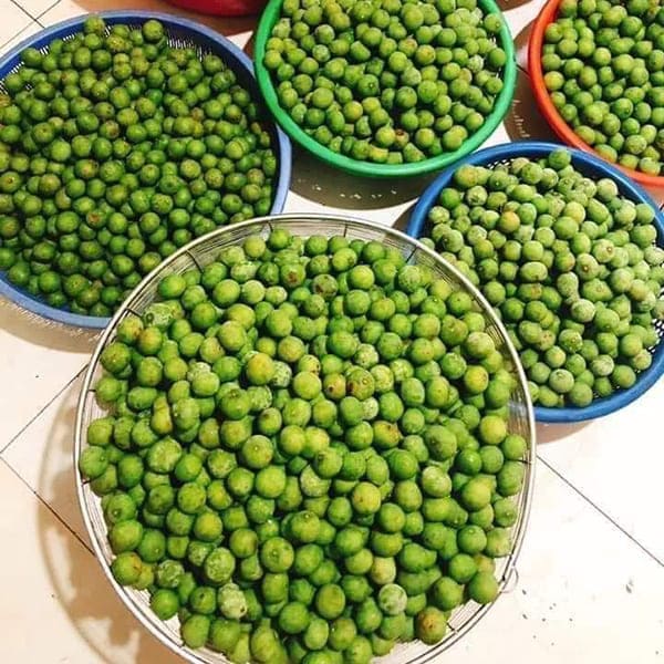 Sấu tươi hút chân không để được bao lâu