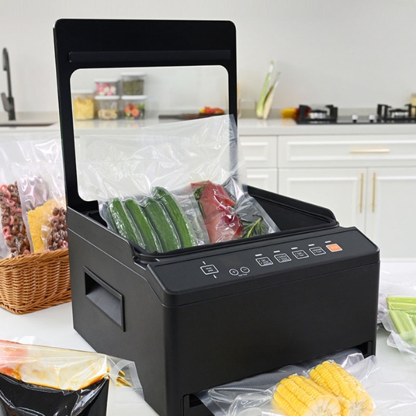 Máy hút chân không bán công nghiệp CVS101