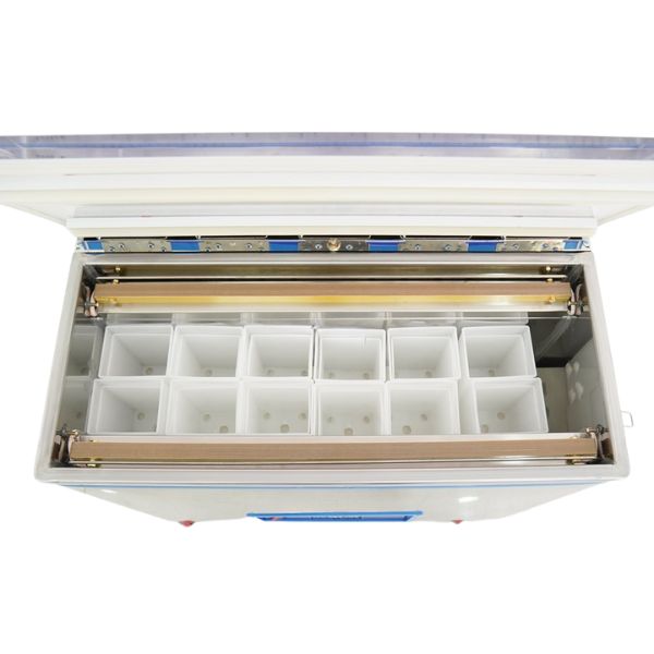 Máy đóng gói chân không chè LD660