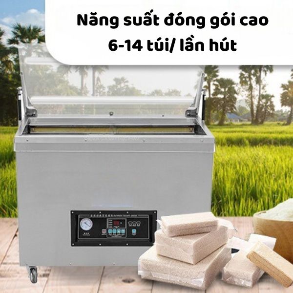 Máy hút chân không gạo DZ 850 2E