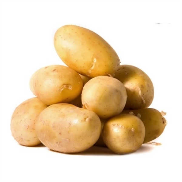 Mẹo Bảo Quản Khoai Tây Tươi Lâu Và Không Bị Nảy Mầm