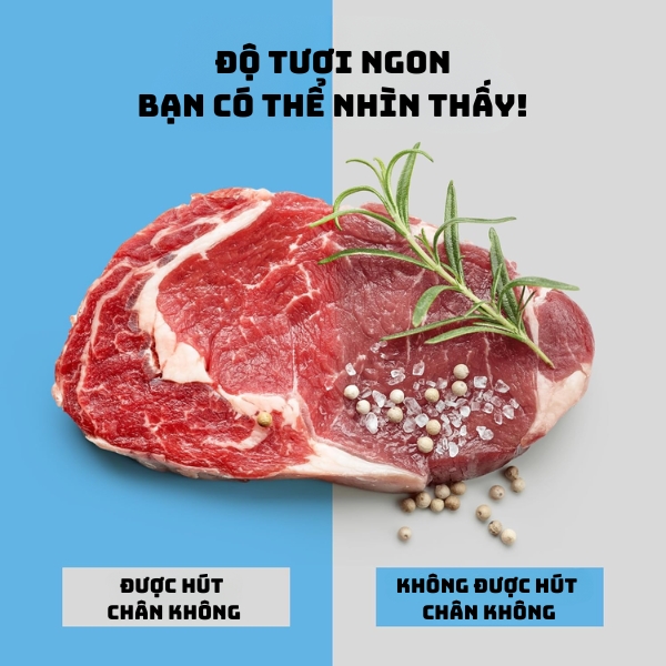 Top 15 Máy Hút Chân Không Tốt Nhất