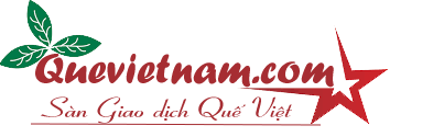 logo Quế Việt Nam