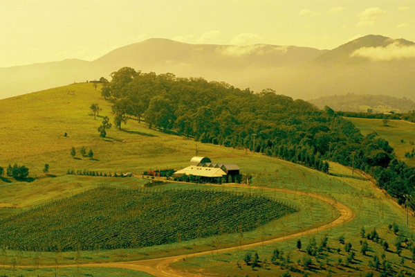 Yarra Valley